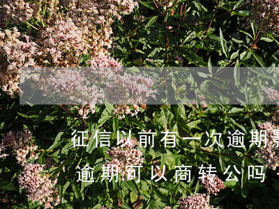 征信以前有一次逾期影响商转公吗-征信有逾期可以商转公吗