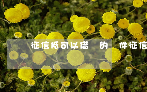 征信低可以借錢的軟件(征信低去哪借錢)