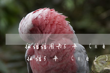 征信信用卡5年內(nèi)有6個月逾期(征信5年內(nèi)6次逾期)
