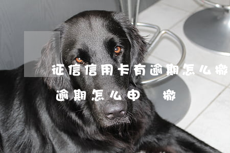 征信信用卡有逾期怎么撤銷(銀行造成的征信逾期怎么申請撤銷)