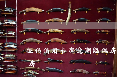 征信信用卡有逾期能做房貸(征信有逾期可以房貸嗎?)