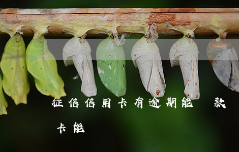 征信信用卡有逾期能貸款嗎(征信有逾期信用卡能過嗎)