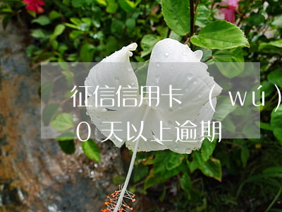 征信信用卡無(wú)逾期90天(征信有90天以上逾期)
