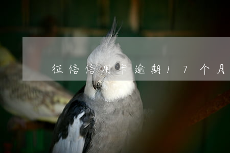 征信信用卡逾期17个月(信用卡逾期七个月)