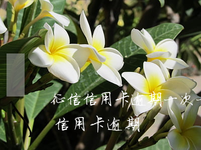 征信信用卡逾期一次一個月(征信記錄有一次信用卡逾期)