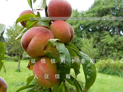 征信信用卡逾期一次公積金貸款(個(gè)人征信報(bào)告有一次逾期能公積金貸款嗎)