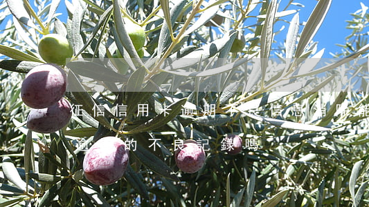 征信信用卡逾期不良信息消除(能消除信用卡逾期的不良記錄嗎)