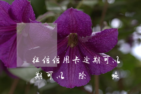 征信信用卡逾期可以刪嗎(信用卡不是故意逾期可以刪除記錄嘛)