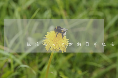 征信信用卡逾期幾年（征信信用卡逾期幾年）