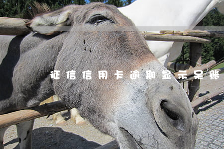 征信信用卡逾期显示呆账(征信出现呆账)