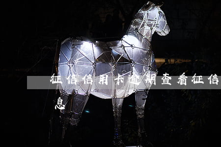 征信信用卡逾期查看(征信信用卡逾期查看信息)