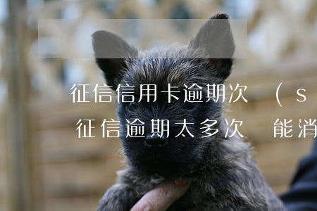 征信信用卡逾期次數(shù)多會影響嗎(征信逾期太多次還能消除嗎)