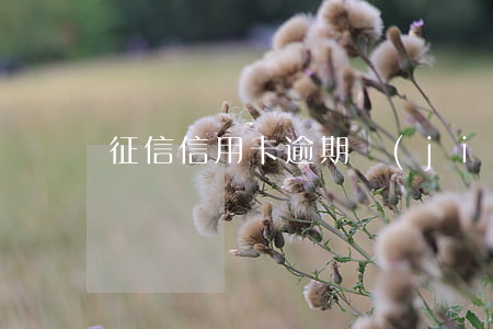 征信信用卡逾期結(jié)清銷戶