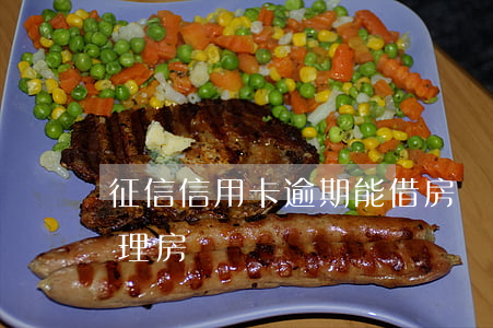 征信信用卡逾期能借房貸嘛(征信有逾期能辦理房貸嗎)
