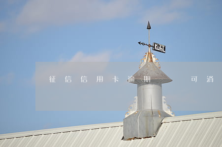 征信信用卡逾期記錄可消除嗎