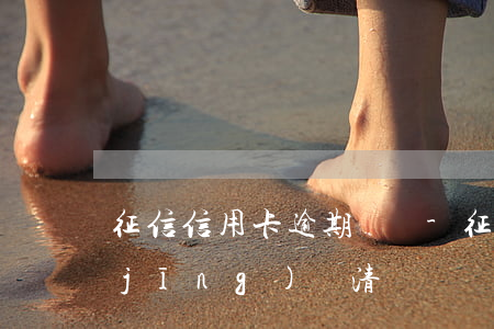 征信信用卡逾期還滿-征信有過逾期已經(jīng)還清