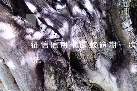 征信信用卡還款逾期一次(逾期還款幾次上征信)