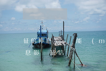 征信停息掛賬還能買(mǎi)房嗎(掛賬停息影響征信嗎)