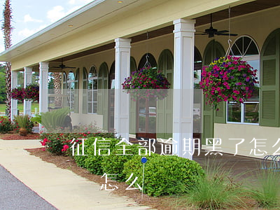 征信全部逾期黑了怎么辦-征信逾期黑名單會怎么樣