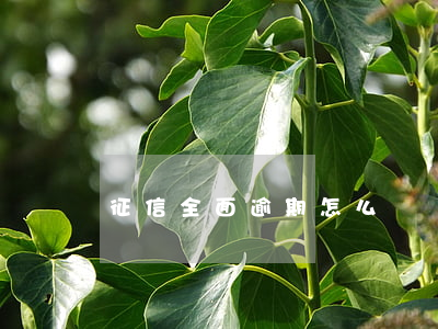 征信全面逾期怎么辦
