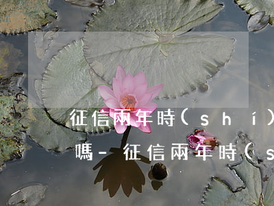 征信兩年時(shí)間逾期48條還能消嗎-征信兩年時(shí)間逾期48條還能消嗎