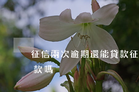 征信兩次逾期還能貸款(征信逾期了還能再貸款嗎)