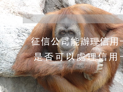 征信公司能辦理信用卡逾期嗎，解析：征信公司是否可以處理信用卡逾期問題？