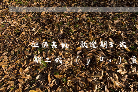 征信其他貸款逾期3次(個(gè)人征信逾期三次嚴(yán)重嗎)