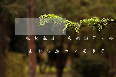 征信出现一次逾期可以办信用卡吗（征信有一条逾期能办信用卡吗）