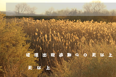 征信出现逾期90天以上(征信出现逾期90天以上)