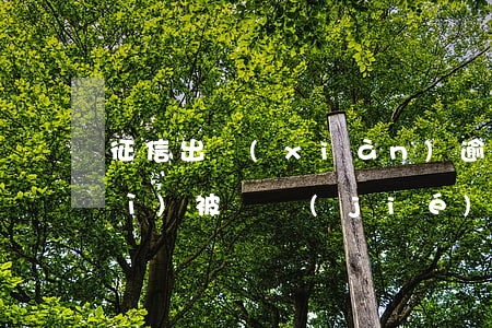征信出現(xiàn)逾期信用卡會(huì)被凍結(jié)嗎(欠信用卡逾期會(huì)凍結(jié)銀行卡嗎)
