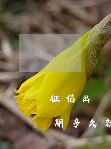 征信出現(xiàn)逾期多久會被起訴(逾期多久就會上征信)