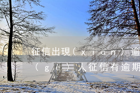征信出現(xiàn)逾期能辦信用卡嗎(個(gè)人征信有逾期能辦信用卡嗎)