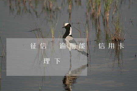 征信剛逾期能辦信用卡嗎(征信有逾期信用卡辦理下來嗎)