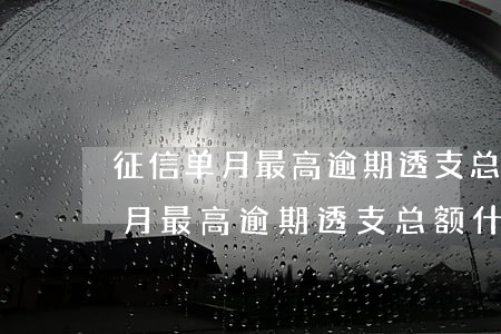 征信单月最高逾期透支总额啥意思-征信单月最高逾期透支总额什么意思