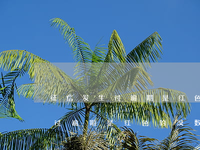 征信发生过逾期是红色的没数字-征信发生过逾期是红色的没数字怎么办