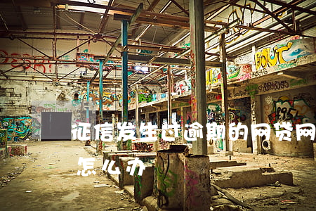征信发生过逾期的网贷(网贷逾期已上征信该怎么办)