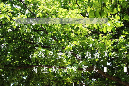 征信只要有逾期就算上了黑名單嗎-征信上有逾期就是黑名單了嗎