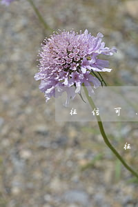 征信可以到法院消除嗎(法院執(zhí)行記錄 征信能消除么)