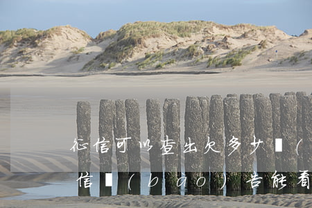 征信可以查出欠多少網(wǎng)貸嗎(征信報(bào)告能看到欠多少網(wǎng)貸嗎)