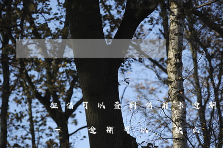 征信可以查到信用卡逾期嗎(查征信信用卡有一個逾期可以貸款么)