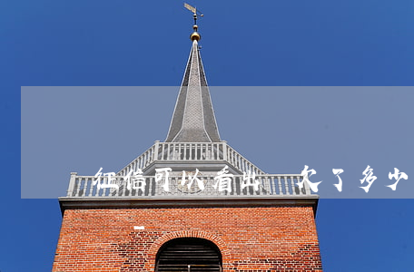 征信可以看出來欠了多少網(wǎng)貸嗎-