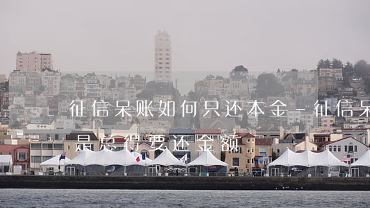 征信呆账如何只还本金-征信呆账余额是不是总得要还金额