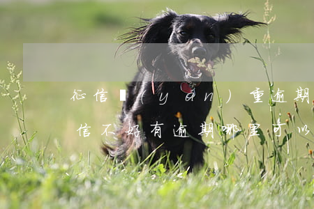 征信嚴(yán)重逾期哪里還能借到錢(征信不好有逾期哪里可以借錢 急用)
