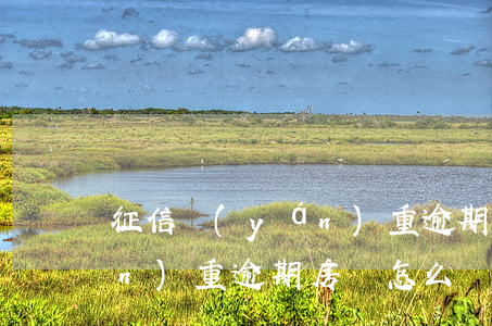 征信嚴(yán)重逾期房貸 征信嚴(yán)重逾期房貸怎么辦