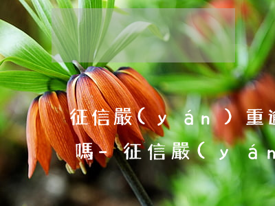 征信嚴(yán)重逾期會影響更換身份證嗎-征信嚴(yán)重逾期會影響更換身份證嗎