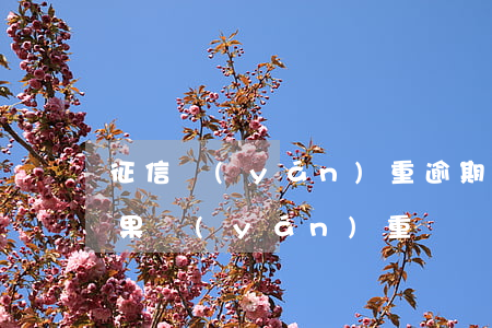 征信嚴(yán)重逾期的后果(征信逾期后果嚴(yán)重嗎)