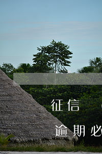 征信嚴(yán)重逾期能下的信用卡(征信逾期必下的信用卡)