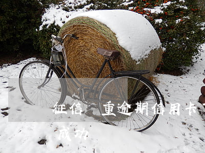 征信嚴重逾期信用卡下卡了(征信有逾期下卡成功)