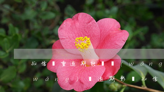 征信嚴重逾期能辦網(wǎng)貸嗎(網(wǎng)貸逾期影響征信嗎)